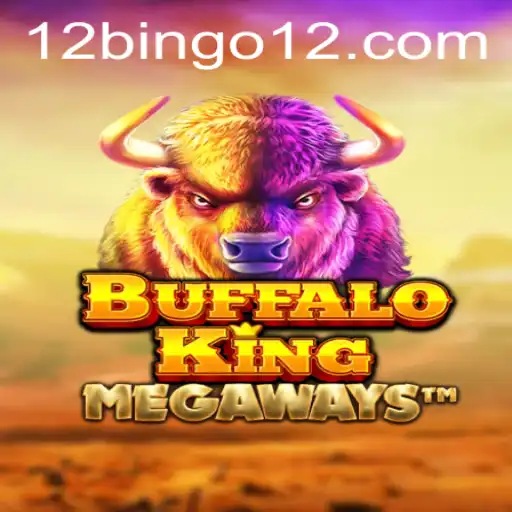 12BINGO Casino App